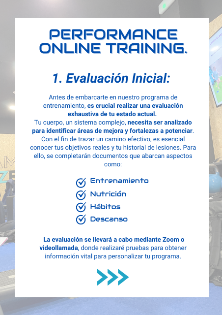 Entrenamiento Online: Plan Semestral