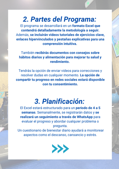 Entrenamiento Online: Plan Trimestral