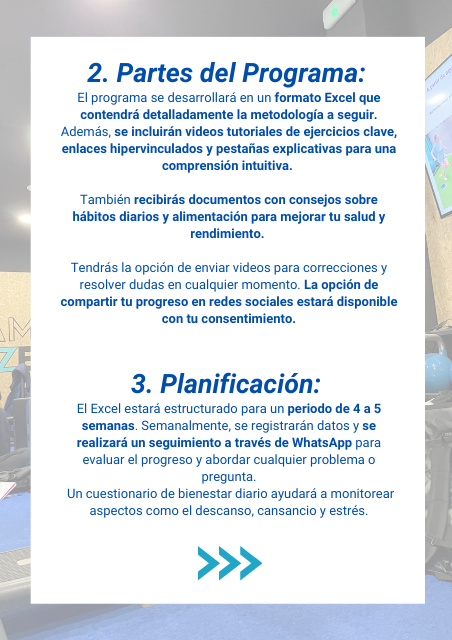 Entrenamiento Online: Plan Semestral